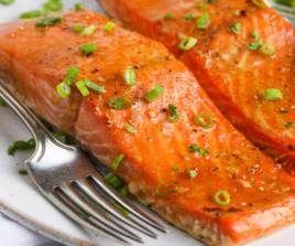 Salmon